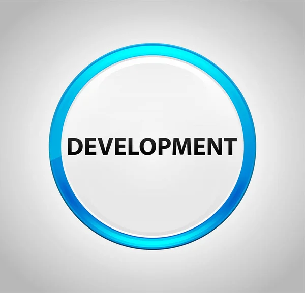 Botão de desenvolvimento azul redondo — Fotografia de Stock