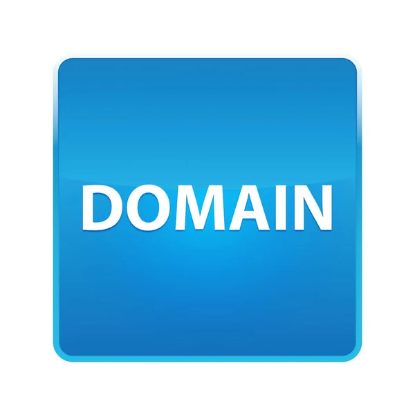 Domain glänzend blauer quadratischer Knopf — Stockfoto