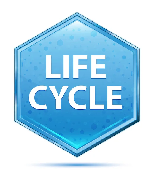 Життєвий цикл кристало-блакитна шестикутна кнопка — стокове фото