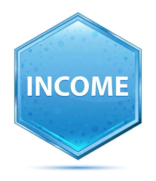 Income crystal blue hexagon button — Stock Photo, Image