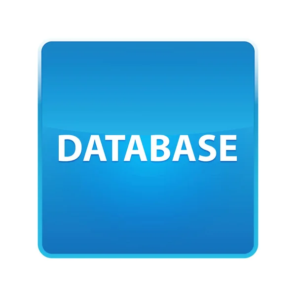 データベース光沢のある青い正方形のボタン — ストック写真