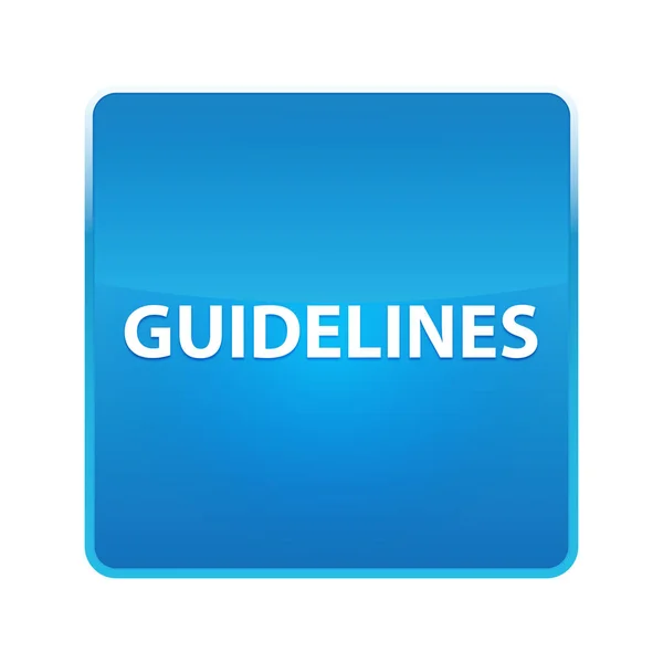 Guidelines shiny blue square button — Stock Photo, Image