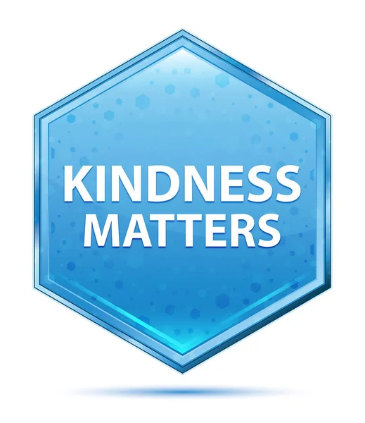 Vänlighet Matters kristall blå Hexagon-knappen — Stockfoto