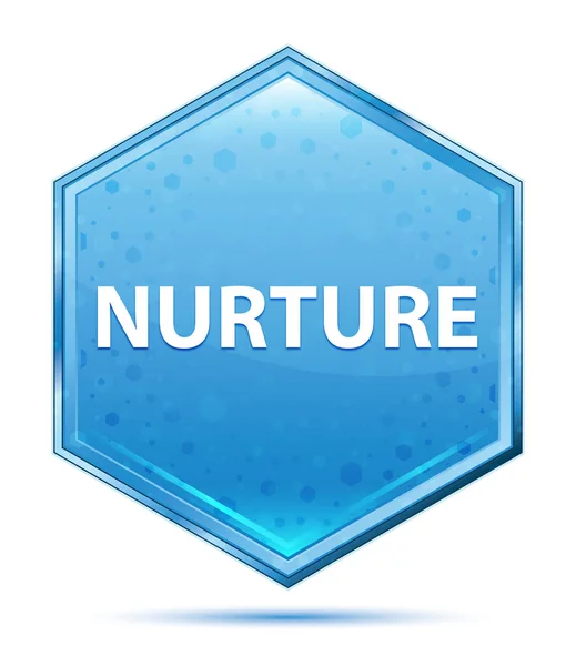 Tlačítko nurture-modrý šestiúhelník — Stock fotografie