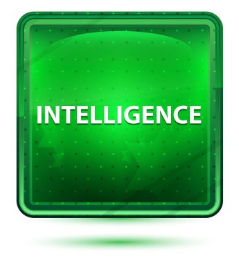 İstihbarat Neon ışık yeşil kare düğmesi