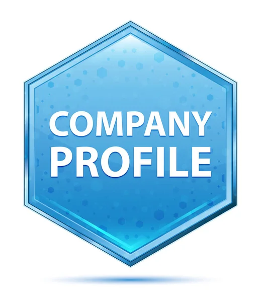 Profilo aziendale pulsante esagono blu cristallo — Foto Stock