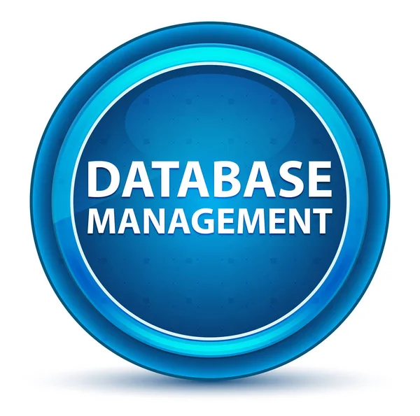 Database Management Eyeball Blue Round Button