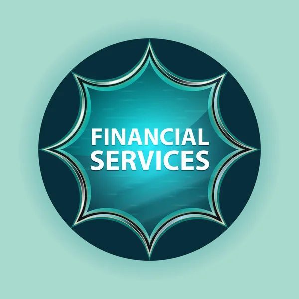 Serviços financeiros mágica sunburst vítreo azul botão céu azul — Fotografia de Stock