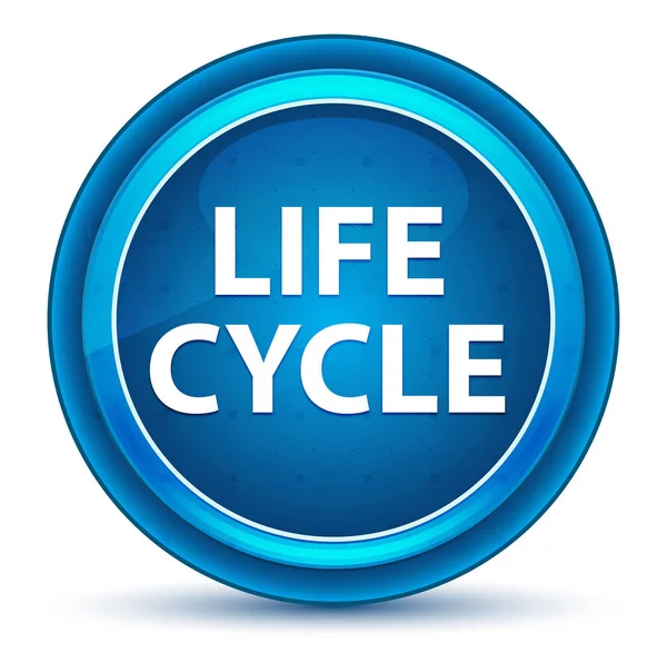 Yaşam Döngüsü Eyeball Mavi Yuvarlak Düğme