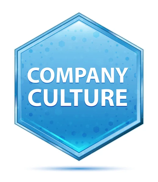 Empresa Cultura cristal botão hexágono azul — Fotografia de Stock