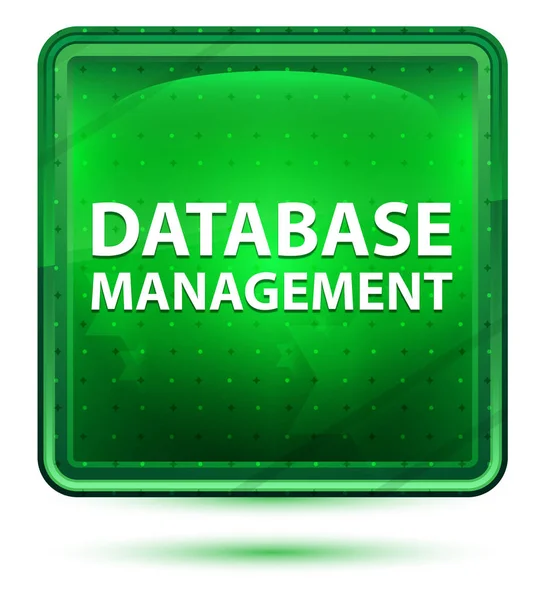 Database management neon licht groen vierkant knop — Stockfoto