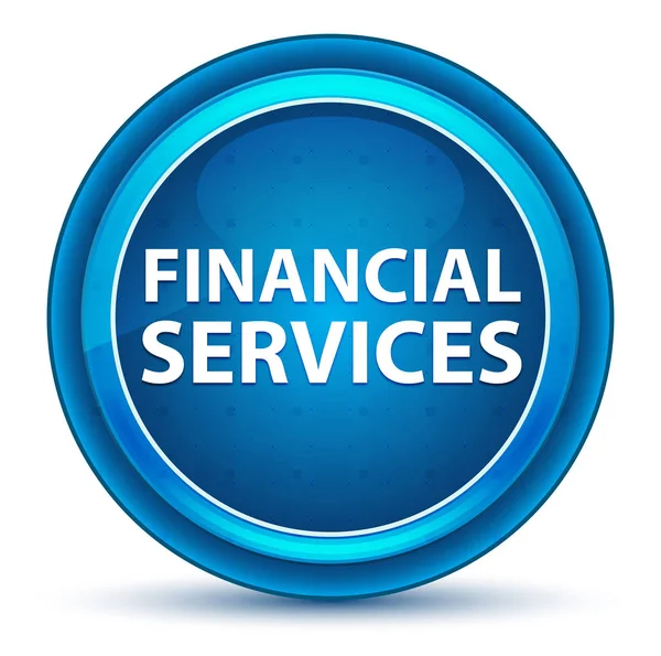 Finansiella tjänster ögongloben blå rund knapp — Stockfoto