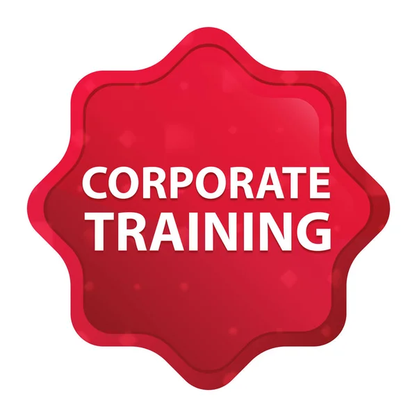 Corporate Training misty rose red starburst sticker button