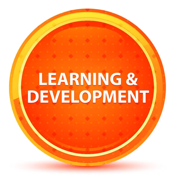 Botão redondo de laranja natural de aprendizagem & desenvolvimento — Fotografia de Stock