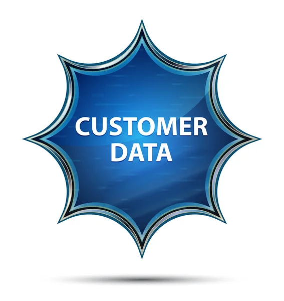 Customer Data magical glassy sunburst blue button — Stock Photo, Image