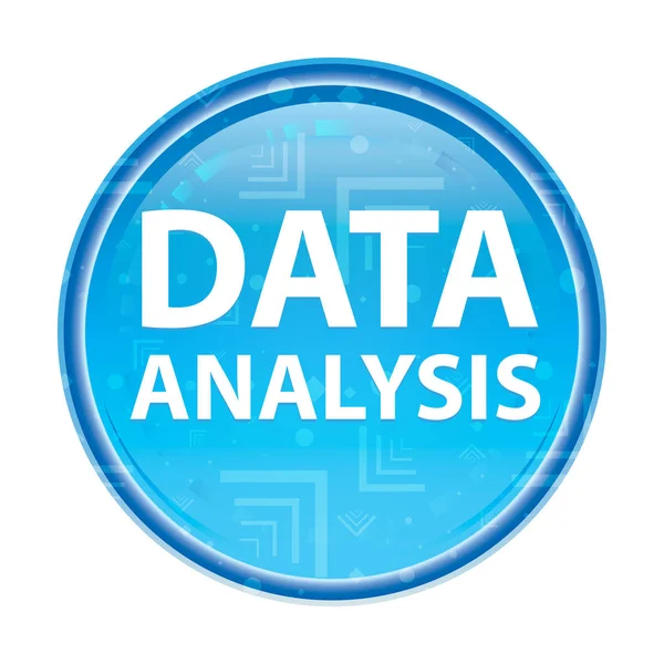 Tombol bundar biru Analisis Data — Stok Foto