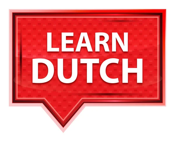 Μάθετε Ολλανδικά ροζ κόκκινο κουμπί banner — Φωτογραφία Αρχείου