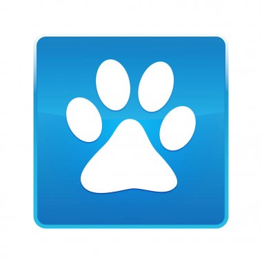 Hayvan pençe baskı simgesi parlak mavi kare düğmesi