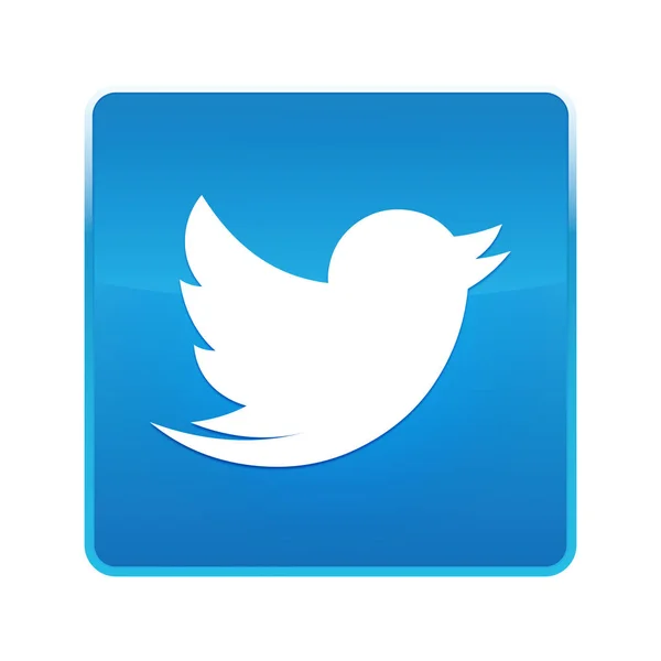 Tweet bird icon shiny blue square button