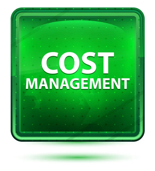 Gestão de custos Neon Light Green Square botão — Fotografia de Stock