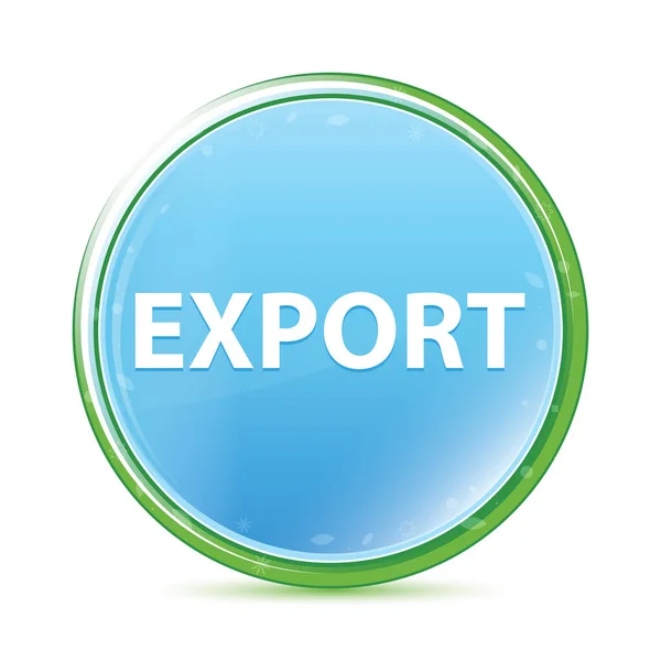 Export natural aqua cyan blue round button — Stock Photo, Image