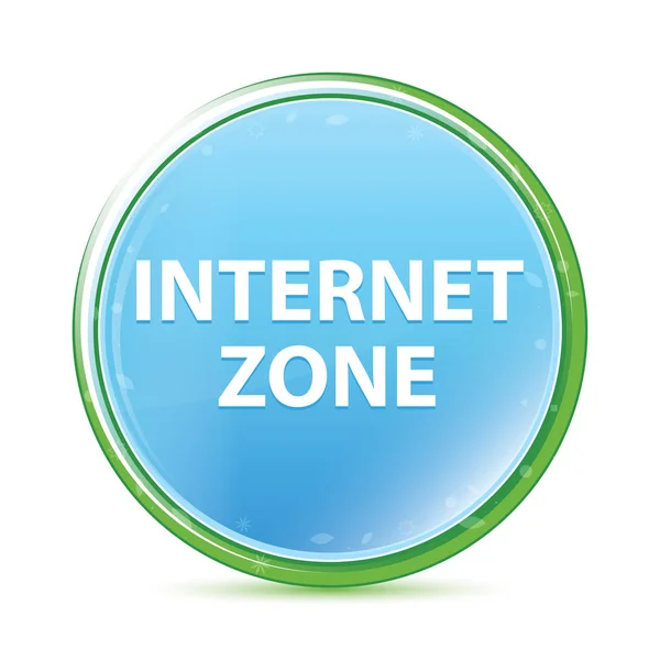 Zona Internet natural aqua cyan botón redondo azul — Foto de Stock