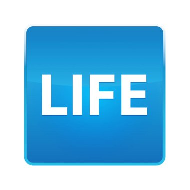 Hayat parlak mavi kare düğmesi