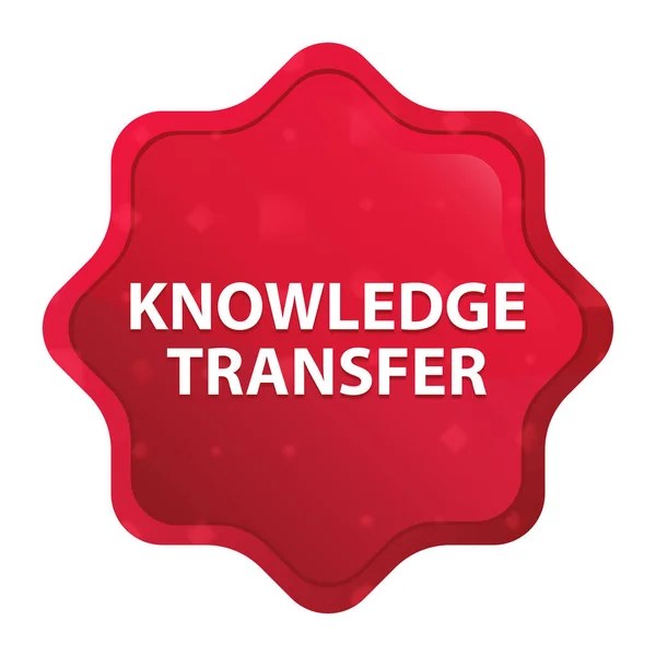 Knowledge Transfer misty rose red starburst sticker button