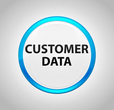 Müşteri Verileri Yuvarlak Mavi Buton Düğmesi