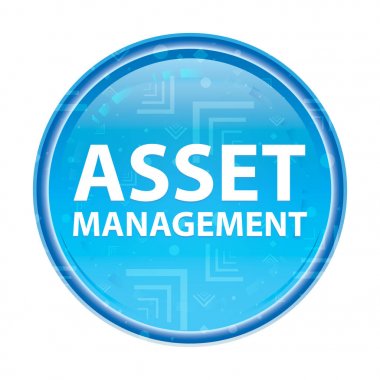 Varlık Yönetimi çiçek mavi yuvarlak düğme