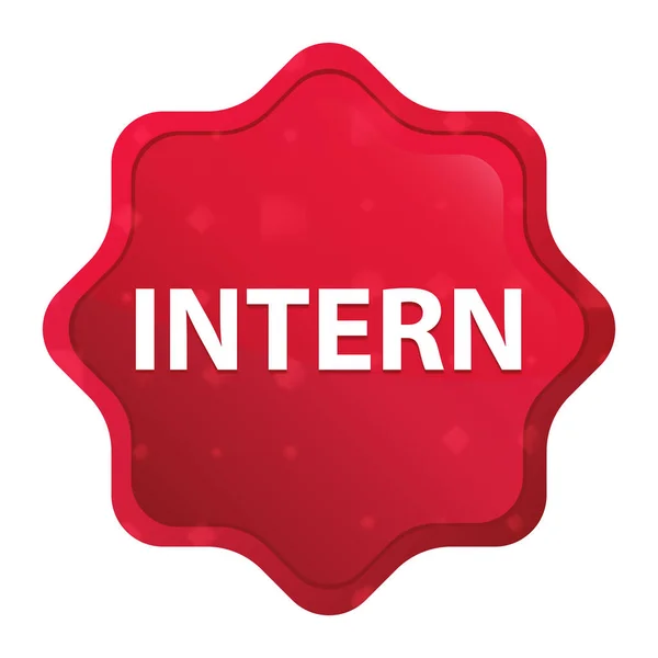 Intern misty rose red starburst sticker button