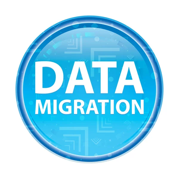 Data Migration floral blue round button