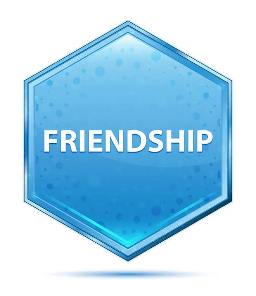 Friendship crystal blue hexagon button — Stock Photo, Image