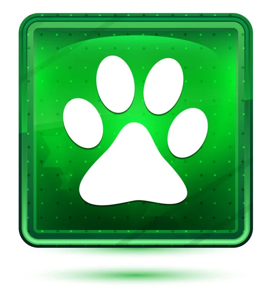 Dyrepoteavtrykk - ikon - lysegrønn firkantet knapp – stockfoto