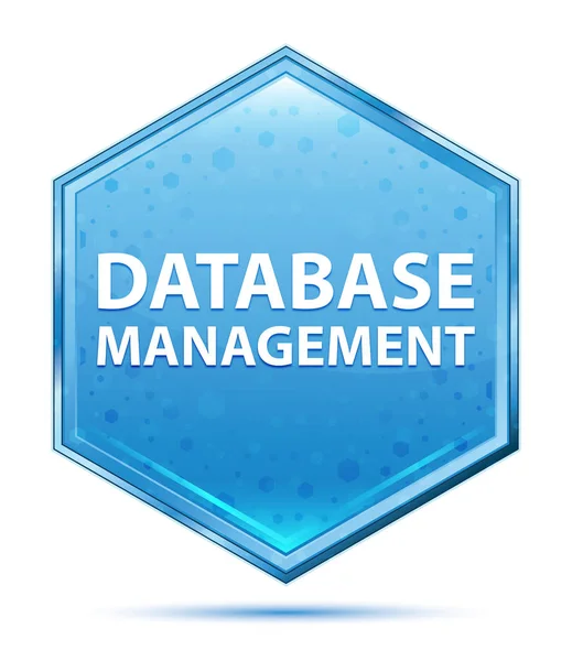 データベース管理クリスタルブルー六角形ボタン — ストック写真