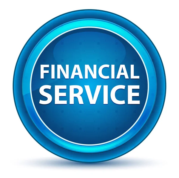 Фінансова служба Eyeball Blue Кругла кнопка — стокове фото