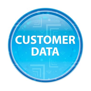 Müşteri Verileri çiçek mavi yuvarlak düğme