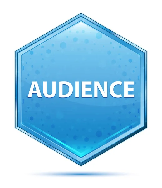 Аудиторія кришталева синя шестикутна кнопка — стокове фото