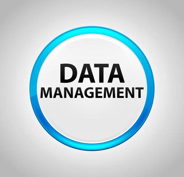 Botón azul redondo de la gestión de datos —  Fotos de Stock