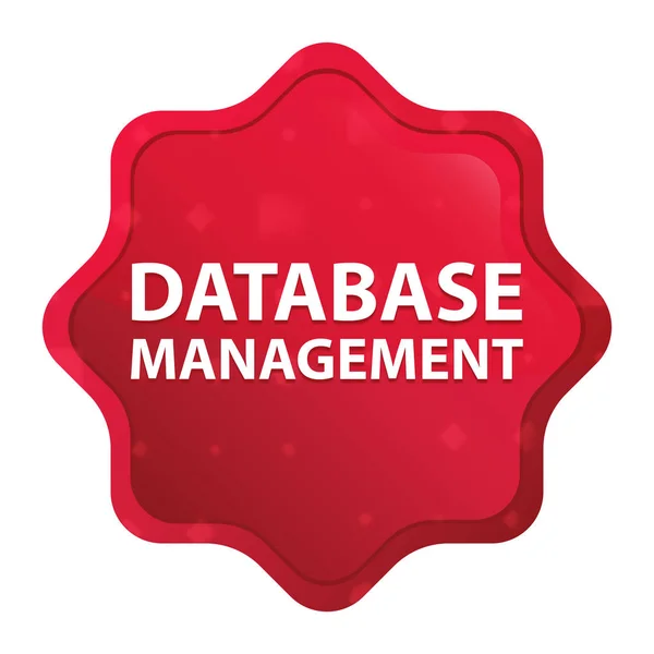 データベース管理ミスティローズ赤いスターバーストステッカーボタン — ストック写真