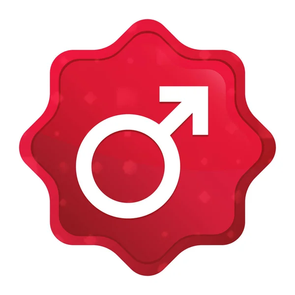 Manlig symbolikon dimmig Ros röd Starburst klistermärke knapp — Stockfoto