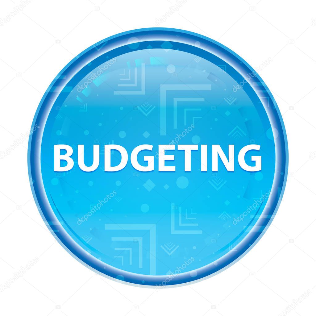 Budgeting floral blue round button