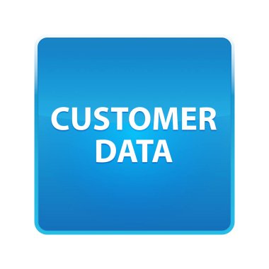 Müşteri Verileri parlak mavi kare düğmesi