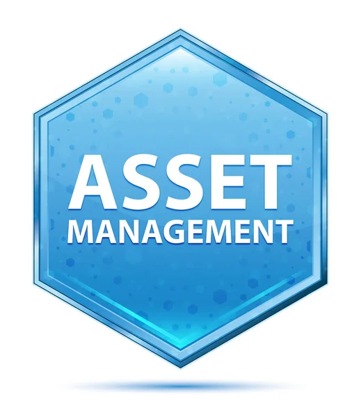 Asset Management Kristallblauer Sechskant-Knopf — Stockfoto