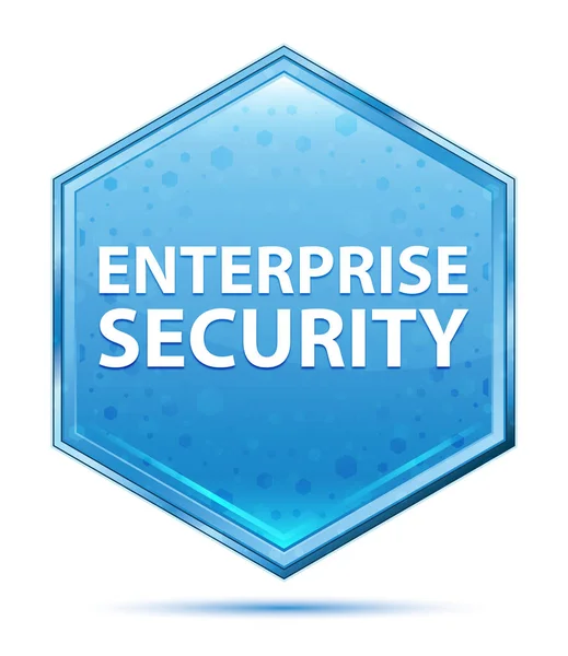 Enterprise Security kristallblå insexknapp — Stockfoto