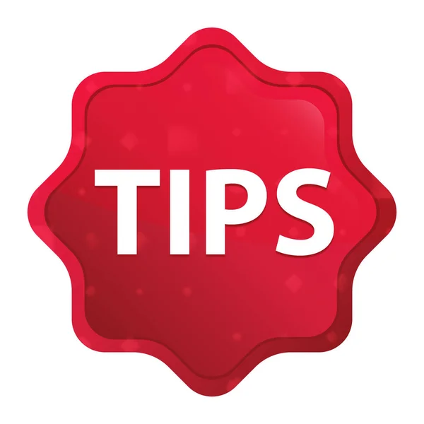 Tips Misty Rose Rode Starburst sticker knop — Stockfoto