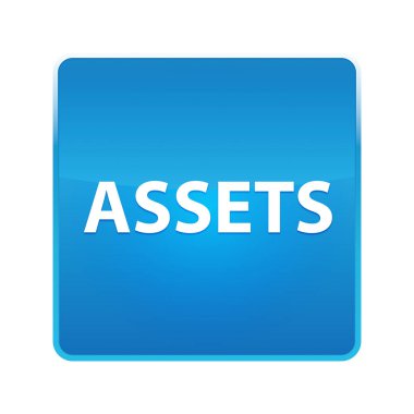 Varlıklar parlak mavi kare düğmesi