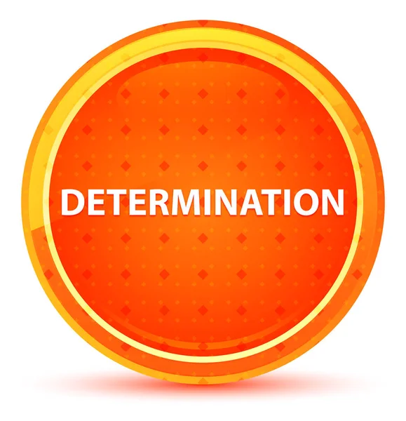 Determination Natural Orange Round Button — Stock Photo, Image