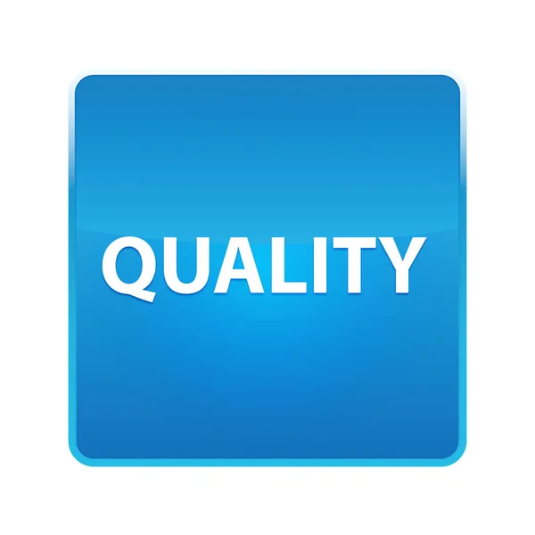 Qualität glänzend blauer quadratischer Knopf — Stockfoto