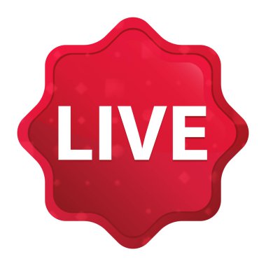 Canlı sisli gül red starburst etiket düğmesi